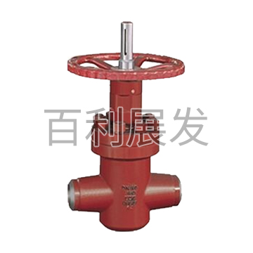 Special plate gate valve for oil field